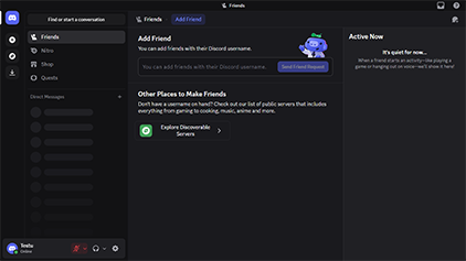 Discord Nitro Hesap - 1 Aylık